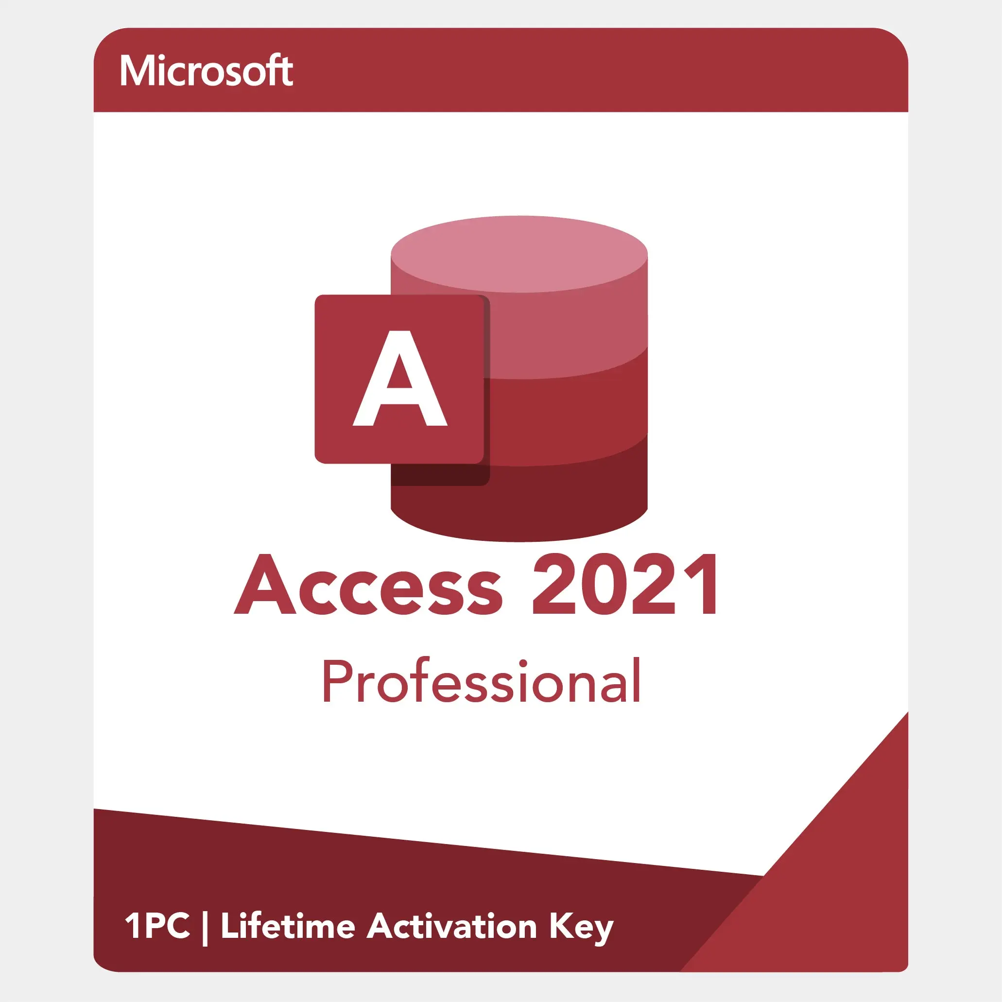 Microsoft Access 2021 Professional – Lifetime License Key