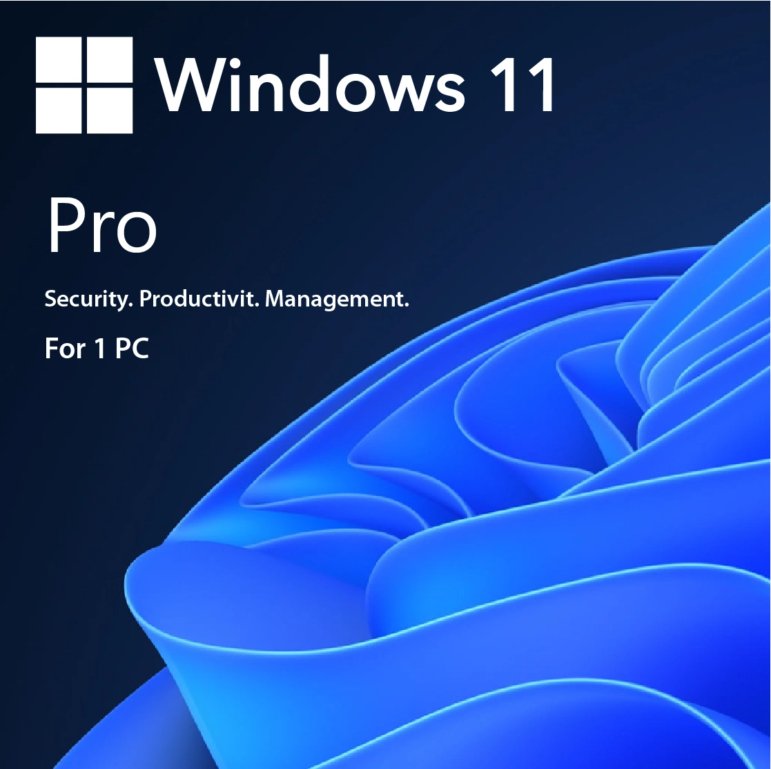 Microsoft Windows 11 Pro 32/64 Bit – Professional License key